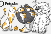 УКРАЇНСЬКІ СТАРТАПИ: PETCUBE — ДОМАШНІ УЛЮБЛЕНЦІ В ІНТЕРНЕТІ