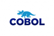 МОВА ДИНОЗАВРІВ: ЧОМУ COBOL ДОСІ ЖИВИЙ?